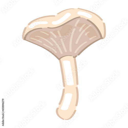 Pale chanterelle on white background