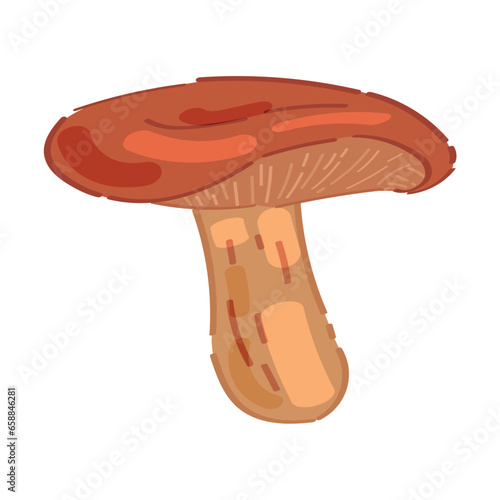 Russula mushroom on white background