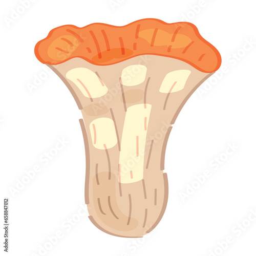 Ripe mushroom on white background
