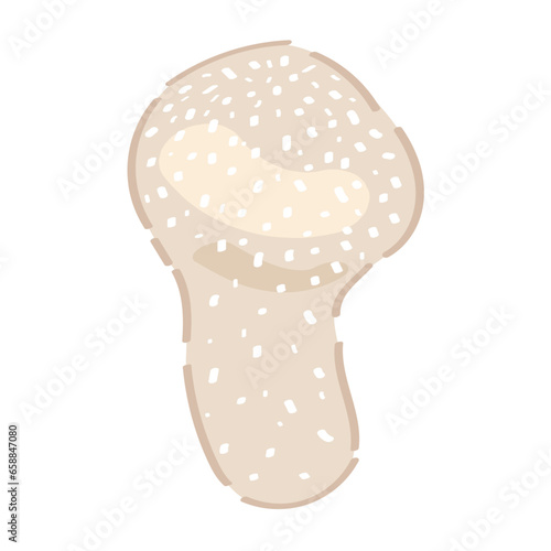 Lycoperdon perlatum on white background