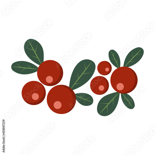 Red berries on white backgr...
