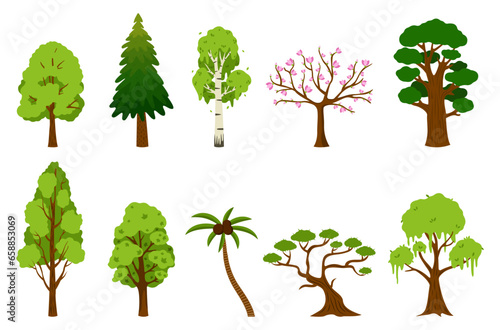 Set of different trees on white background