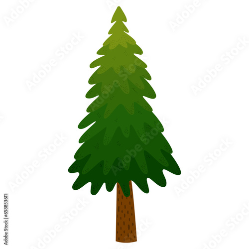 Green fir tree on white background