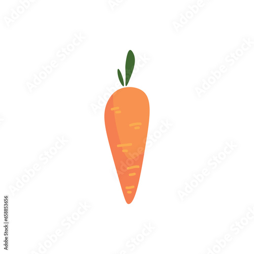 Orange carrot on white background