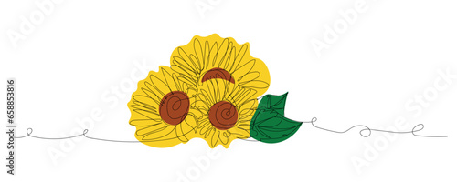 Beautiful sunflowers on white background