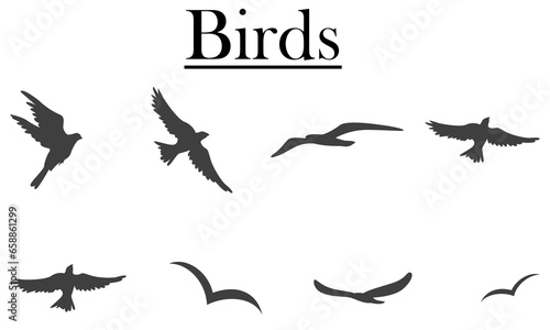 collection of flying birds silhouettes. Vector illustration