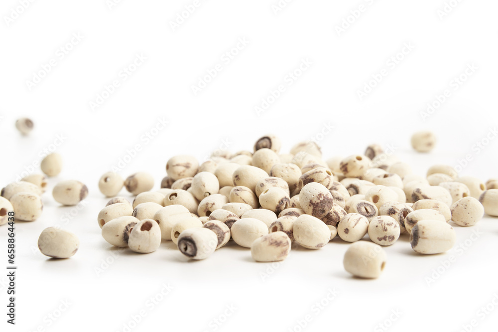 Lotus kernel Isolated On White Background Lotus kernel Isolated On White Background