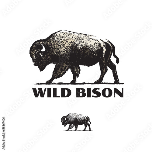 Magnificent Bison Vector Hand-Drawn Illustration. Vintage bison vector logo.