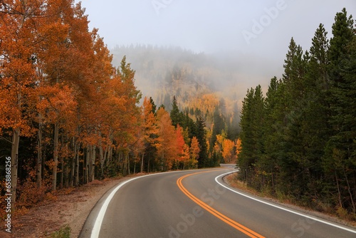 Scenic byway to Mt Evans in Colorado , caught in fog during autumn time with colorful Aspen trees.