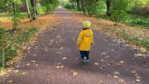 toddler child little boy in a yellow jacket walking playing in autumn park. Aleksandrovsky Park, Pushkin, St. Petersburg, Russia. photo