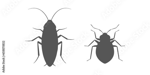 cockroach bug and bedbug © Paolo