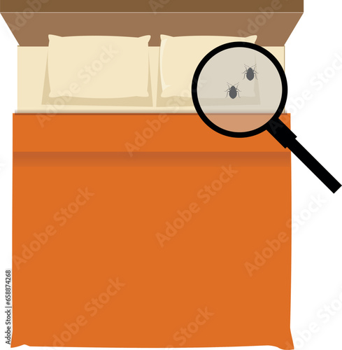 Bed bugs problem, a hand inspecting a bedding with a magnifying glass
