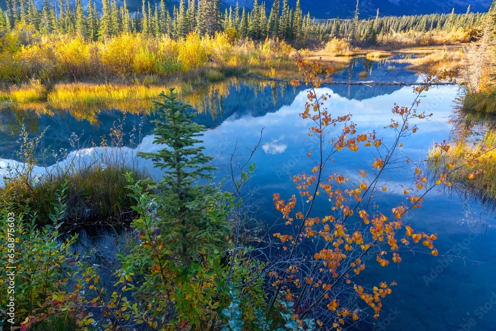 Scenic Autumn Vibrant Colours Detail, Bow Valley Provincial Park Landscape, Many Springs Natural Oxbow Lake, Alberta Foothills Canadian Rockies Scenic Autumn Vibrant Colours Detail, Bow Valley Provincial Park Landscape, Many Springs Natural Oxbow Lake, Alberta Foothills Canadian Rockies