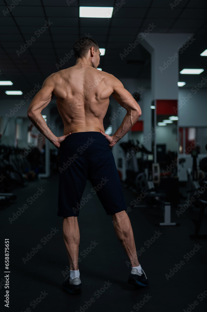Back view of shirtless man with sculpted body in gym. Back view of shirtless man with sculpted body in gym.