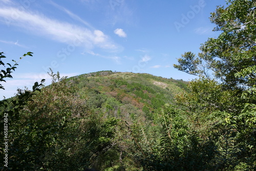 Mt. Tonodake is the highest peak along the Omote Ridge that runs between Mt. Oyama and Nabewari Ridge . It has easy access, being about 80 minutes to Shibusawa Station from both Shinjuku and Tokyo.