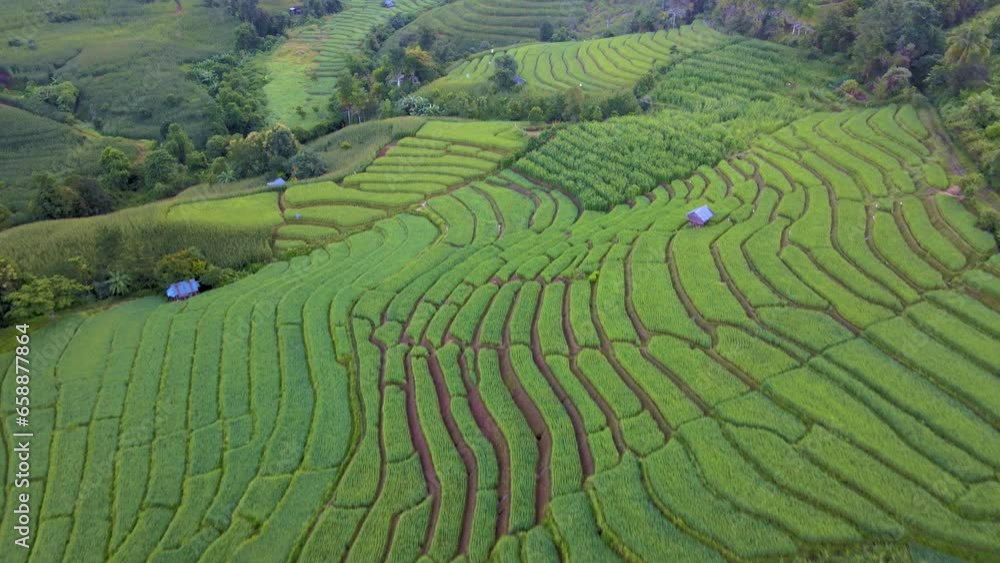 Terraced Rice Field in Chiangmai, Thailand Pa Pong Piang, Chang Khoeng, Mae Chaem District during sunrise Terraced Rice Field in Chiangmai, Thailand Pa Pong Piang, Chang Khoeng, Mae Chaem District during sunrise