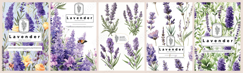 Set of Elegant Lavender, Realistic Vector Illustrations of Flowers, Leaves, and Plants for Backgrounds, Patterns, and Wedding Invitations. - obrazy, fototapety, plakaty 
