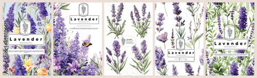 Set of Elegant Lavender, Realistic Vector Illustrations of Flowers, Leaves, and Plants for Backgrounds, Patterns, and Wedding Invitations.