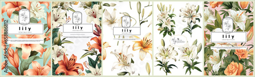Set of Elegant lily, Realistic Vector Illustrations of Flowers, Leaves, and Plants for Backgrounds, Patterns, and Wedding Invitations.