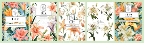 Set of Elegant lily, Realistic Vector Illustrations of Flowers, Leaves, and Plants for Backgrounds, Patterns, and Wedding Invitations.