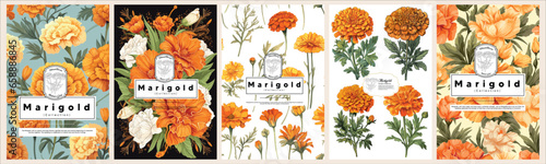 Set of Elegant Marigold, Realistic Vector Illustrations of Flowers, Leaves, and Plants for Backgrounds, Patterns, and Wedding Invitations.