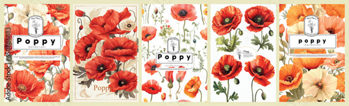 Set of Elegant poppy, Realistic Vector Illustrations of Flowers, Leaves, and Plants for Backgrounds, Patterns, and Wedding Invitations.