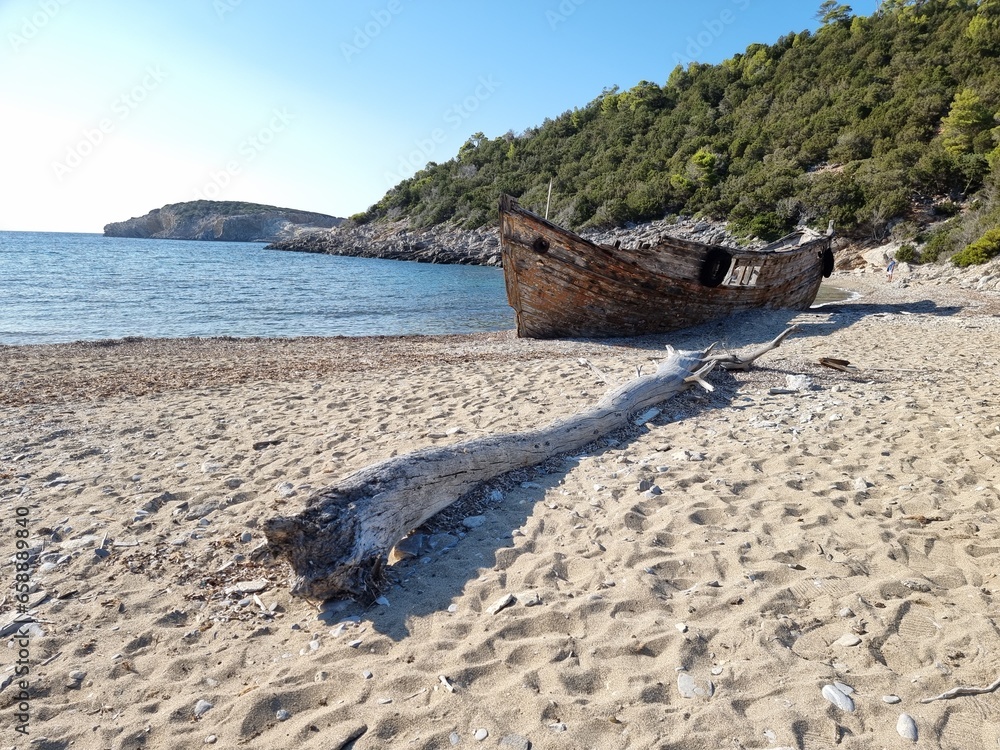 shipwreck on the beach of agalypa of skyros in greece pine trees clear transparent water in the sea