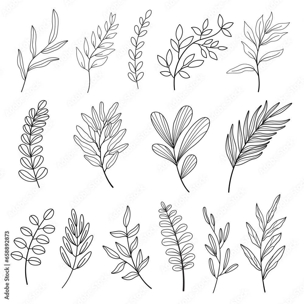 Set of leaves. Hand drawn decorative elements. Vector illustration Set of leaves. Hand drawn decorative elements. Vector illustration