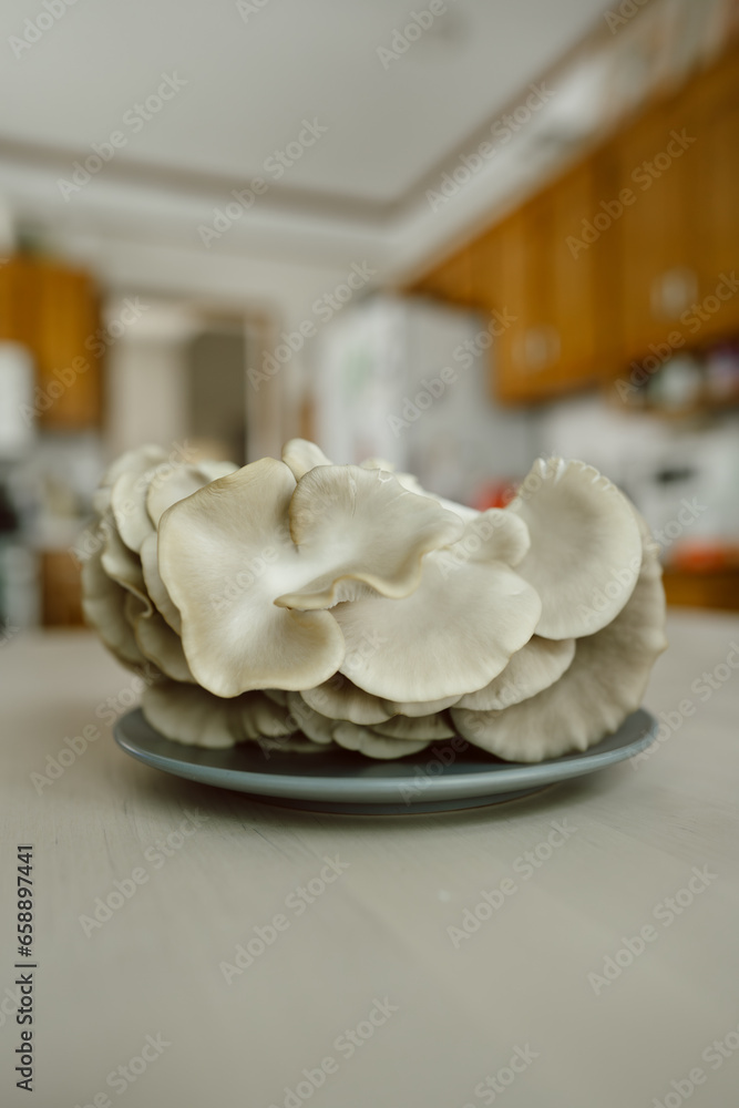 Close-up of gourmet mushrooms clumped together on kitchen table