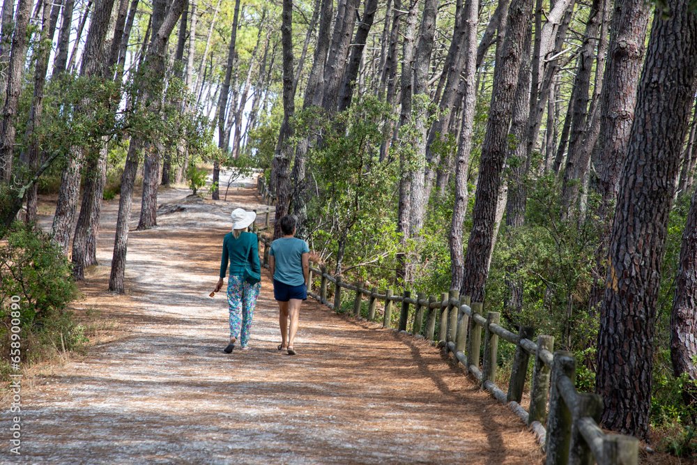 two women person walking in the pine tree forest at morning