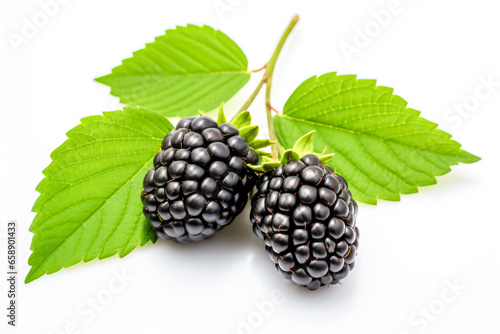 Blackberries with green leaves isolated on white background.