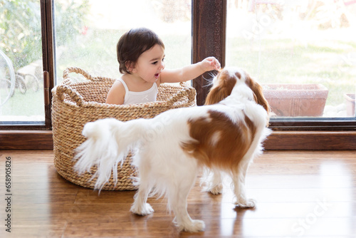 Happy baby sitting in wicker basket trying to touch her dog photo