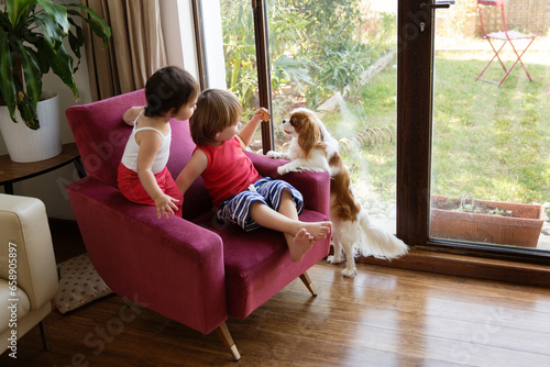 Young boy and baby girl sitting on an armchair at home giving their dog a biscuit photo