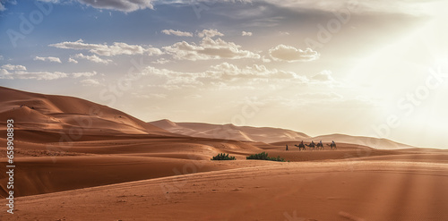 Camel caravan with people going through the sand dunes in the Sahara Desert. Morocco  Africa.