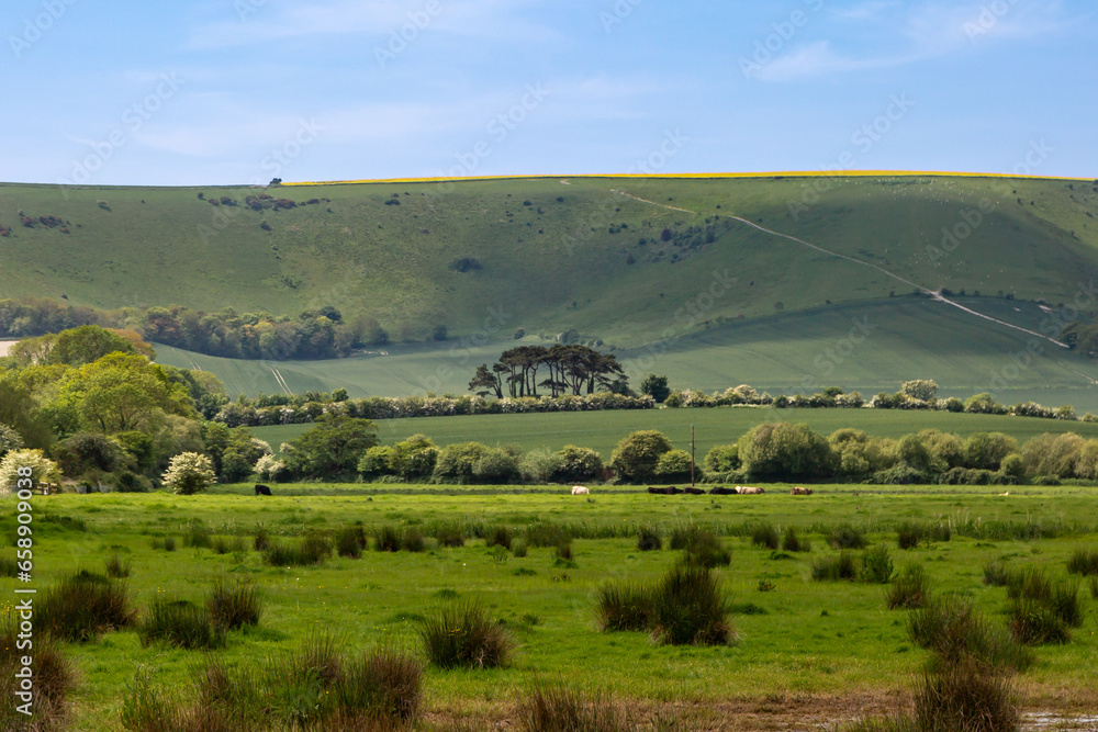 A rural Sussex view on a sunny May day, with Kingson Ridge in the distance A rural Sussex view on a sunny May day, with Kingson Ridge in the distance