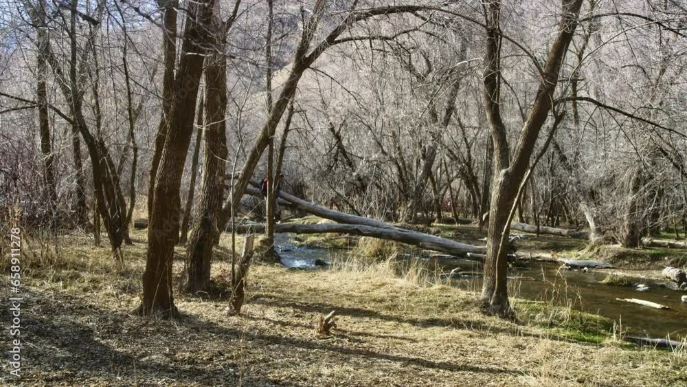 Man Walking Across Log Over Stream Alone - Slow Motion Man Walking Across Log Over Stream Alone - Slow Motion
