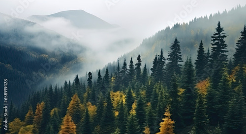 Obraz na płótnie Beautiful natural landscape - hills with foggy fir forest - web banner