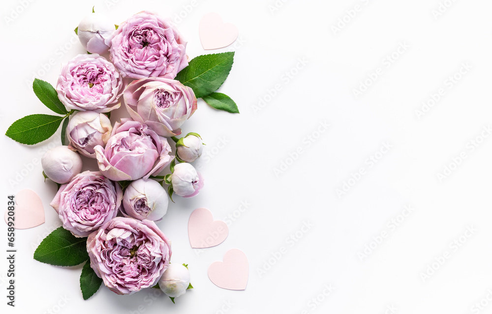 Pink rose flowers on white background Pink rose flowers on white background