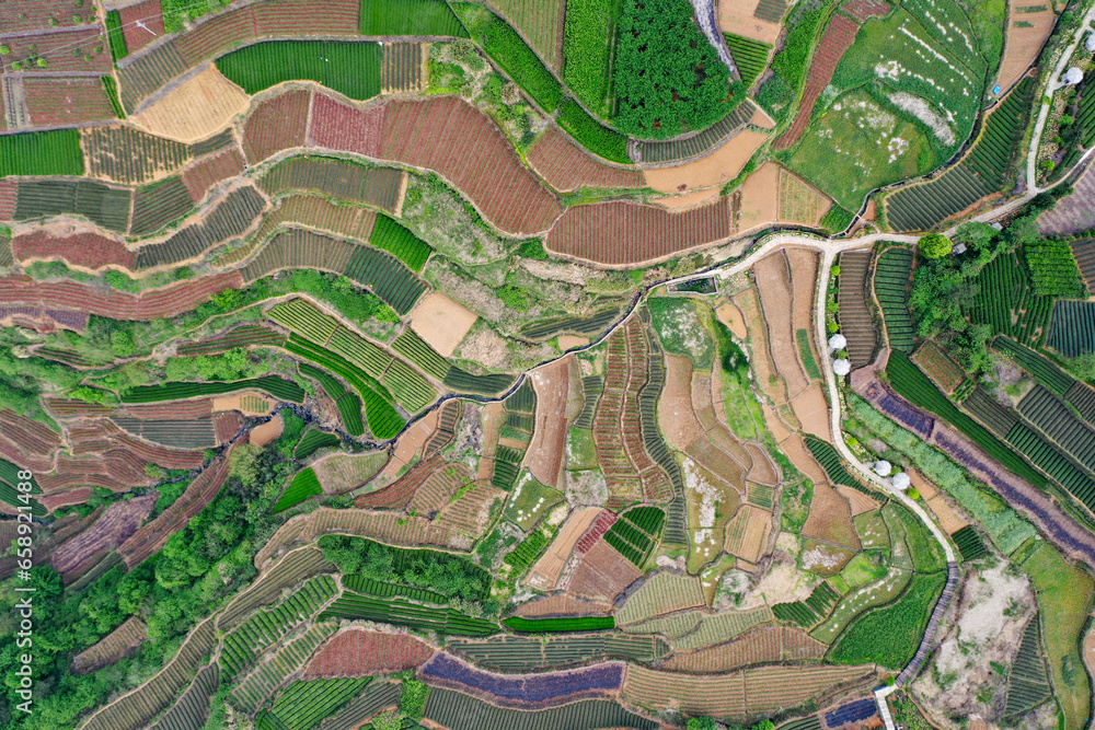 Obraz premium Aerial view of the rice terraces in the east of China 