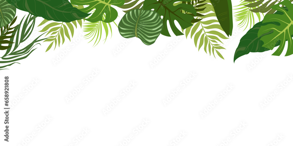 Horizontal background with green leaves of tropical palm tree, banana and monstera. Elegant backdrop decorated with foliage of exotic jungle plants. Natural border. Vector illustration. - obrazy, fototapety, plakaty 