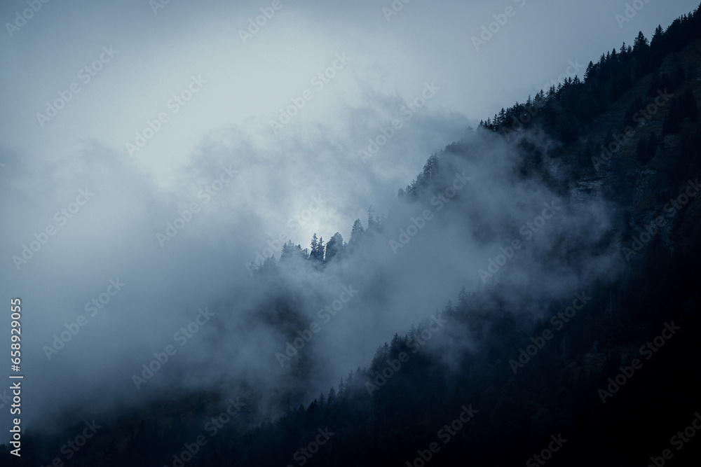 mist in the mountains