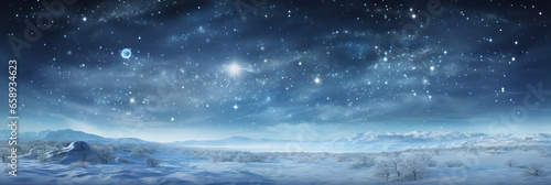 Panoramic snowy background at night, winter wonderland, snow-covered trees, sky and stars © IonelV