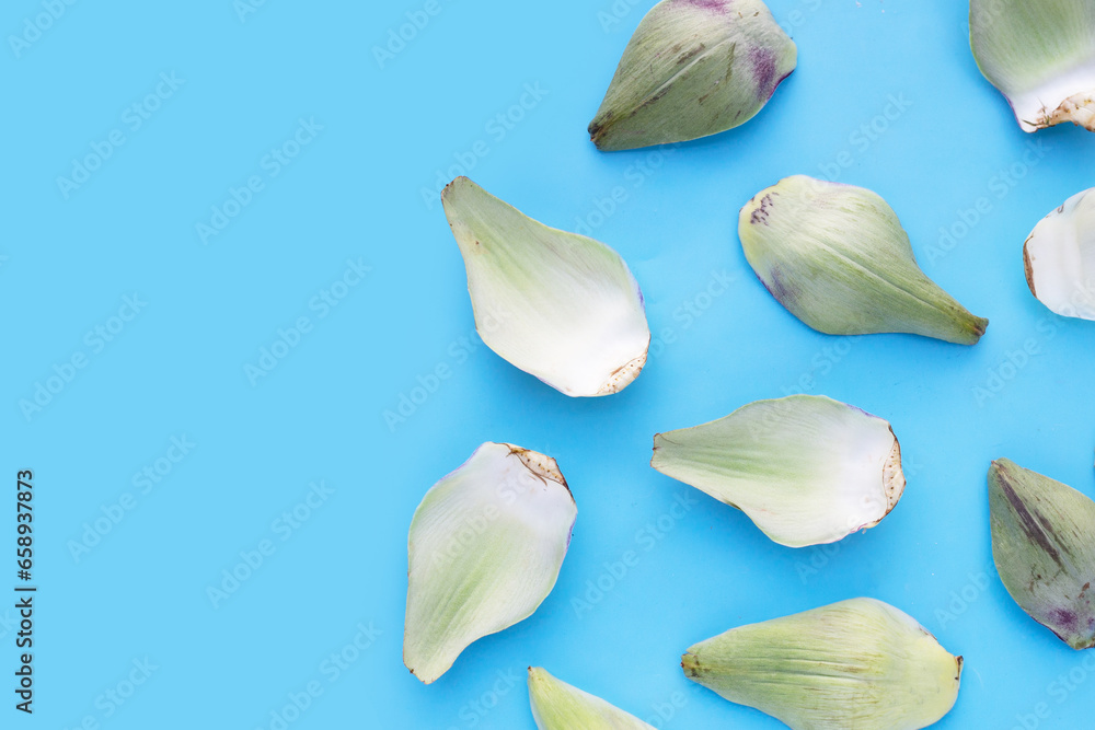 Fresh artichoke petals on blue background Fresh artichoke petals on blue background
