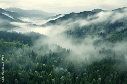 Aerial view of a misty forest on a foggy day. photo