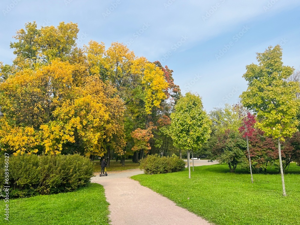 Obraz premium golden fall in the park, autumn trees