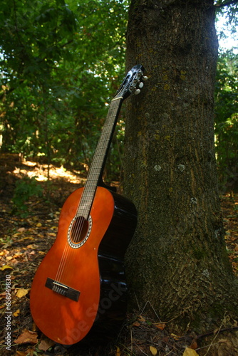 Wallpaper Mural guitar near a tree in the forest, camping, songs by the fire Torontodigital.ca