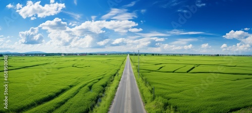 Countryside road between the green field. Generative AI technology.  