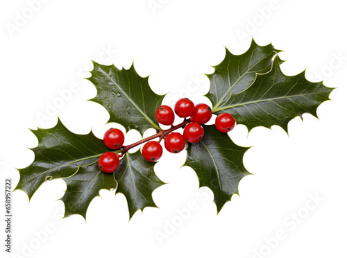 Holly Christmas Decoration European Holly Leaves Berries Festive Ornament Traditional Holiday Celebrations, Symbolizing Yuletide Joy Winter Cheer Isolated on Transparent Background