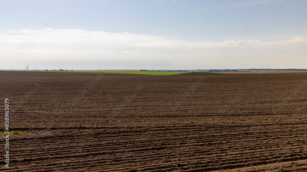 plowed soil in a field during preparation for sowing