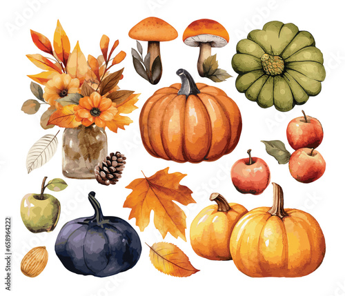 AUTUMN watercolor set -wood leaves, nature elements, mushrooms, pumpkins, apples. Painted in watercolor on a white isolated background. Floral illustrations for posters, invitations. Thanksgiving